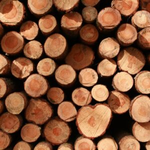 Stacked wooden logs