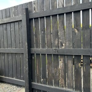Fence before Shed & Fence Paint in Black