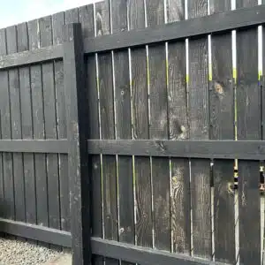 Fence before Shed & Fence Paint in Black