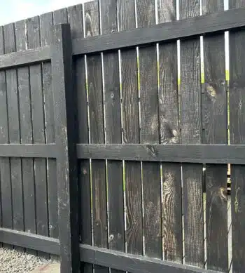 Fence before Shed & Fence Paint in Black