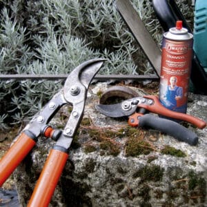 Transyl Spray Can and garden tools