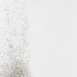 Mould on a white wall