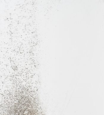 Mould on a white wall