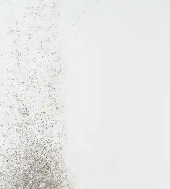 Mould on a white wall