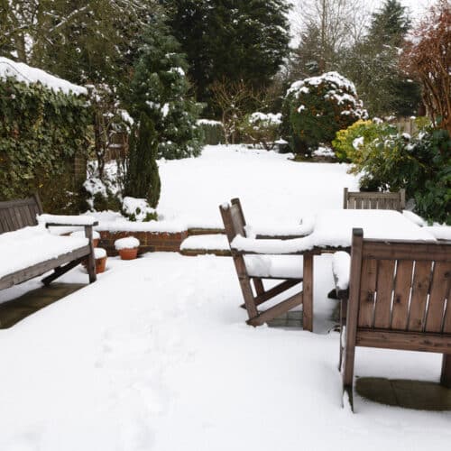 Garden covered in snow