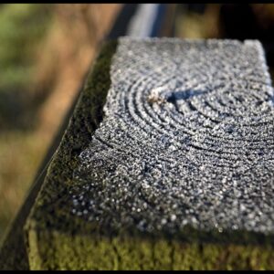 Frozen garden Fence Post