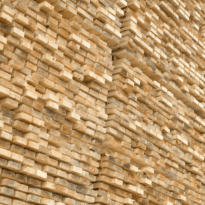 New cut wood