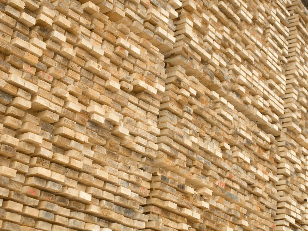 New cut wood