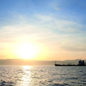 Bulk-carrier ship marine oil