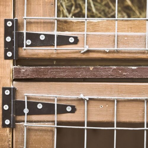 Maintain your rabbit hutch with wood protection products