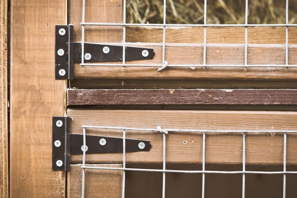 how to protect and maintain your rabbit hutch owatrol direct