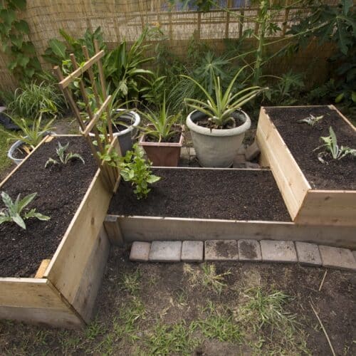 raised garden beds