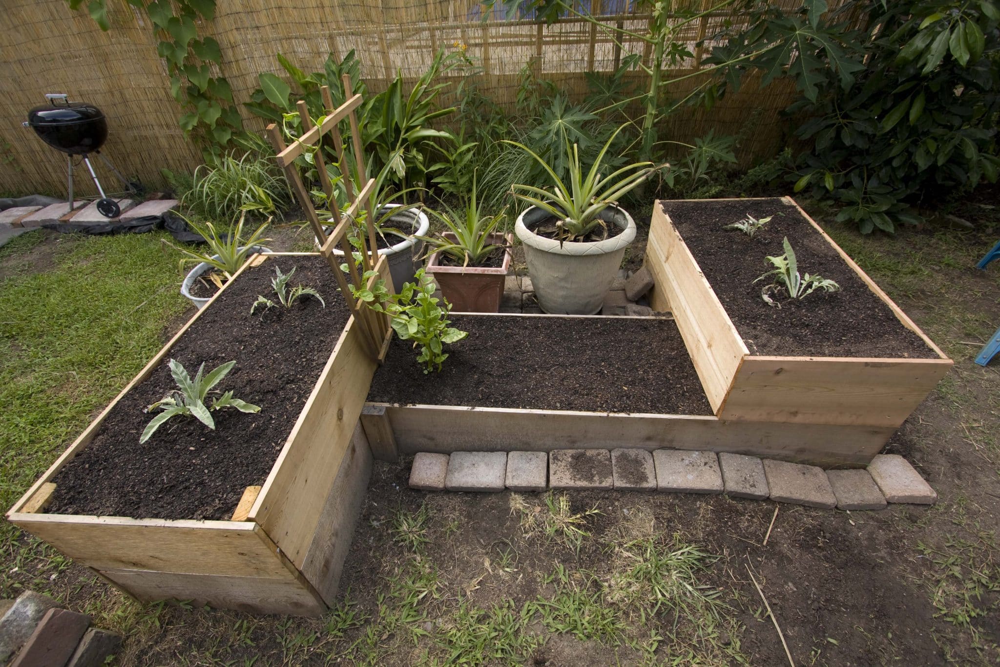 Inspiration for your raised garden beds | Owatrol Direct
