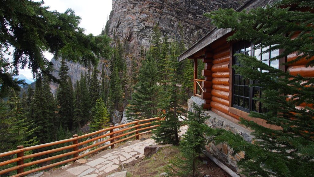 Wood cabin surrounded by trees Wood cabin surrounded by trees