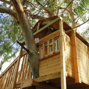 New wooden treehouse