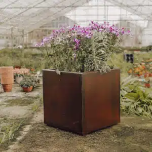 Oxid Vernis on metal planters by HTDS welding and fabrications - image credit to Lily Grace Barton