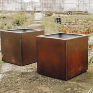 Oxid Vernis on metal planters by HTDS welding and fabrications - image credit to Lily Grace Barton