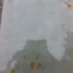 Net-Trol