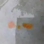 Net-Trol