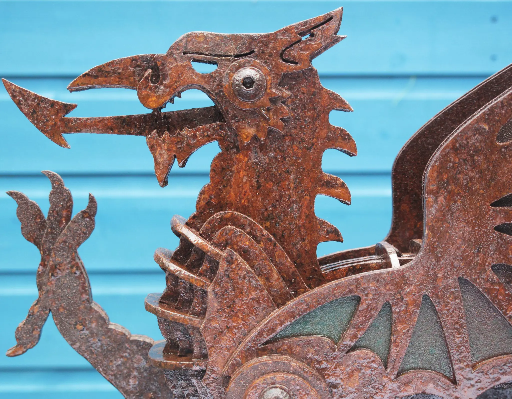 Close up of Black Sheep Steel Dragon Sculpture finished with Owatrol Oil