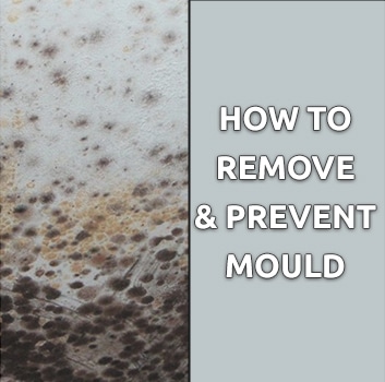 remove mould