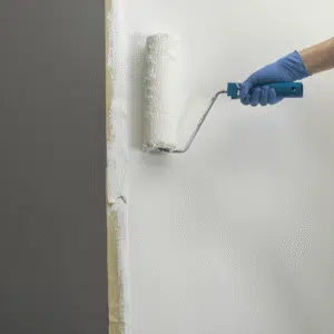 Painting a grey wall white