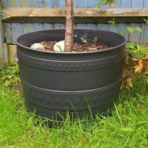 after polytrol on plant pot