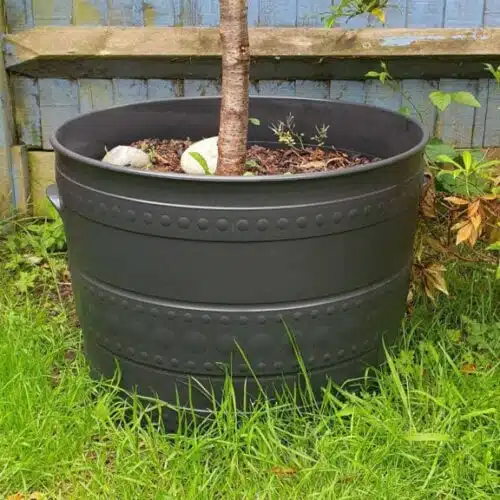 after polytrol on plant pot