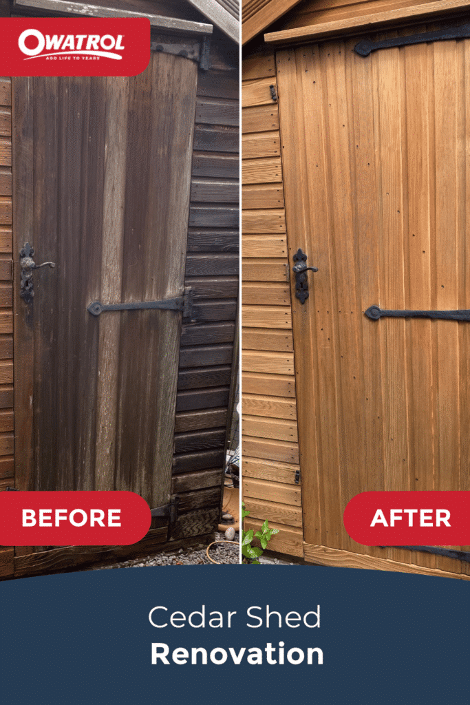 Cedar shed renovation - Pinterest