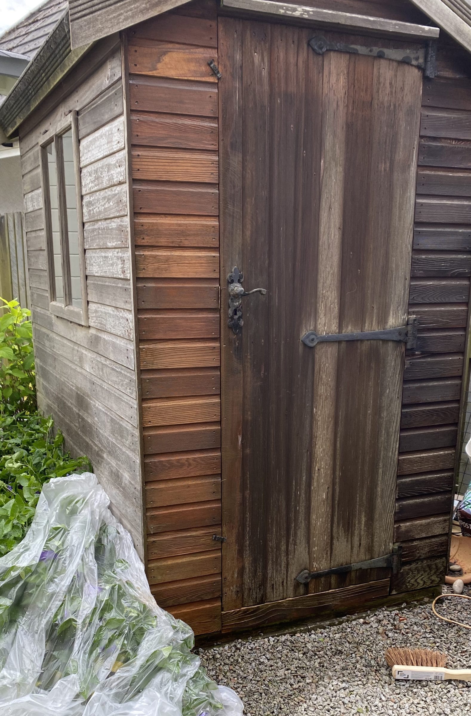 Cedar shed before Owatrol by Karen Park