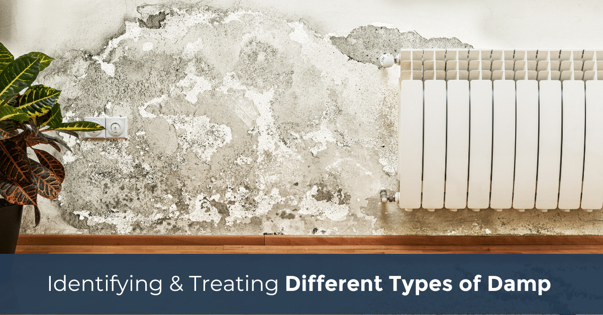 Identifying & treating different types of damp Owatrol Direct