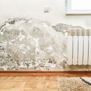 Penetration damp on an interior wall