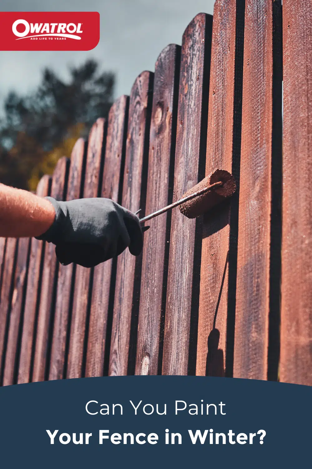 can you paint your fence in winter - Pinterest
