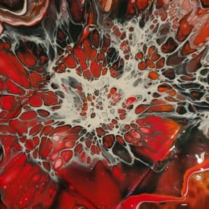 Art with Aussie-Trol by Corinne Bardou @pictura.andco