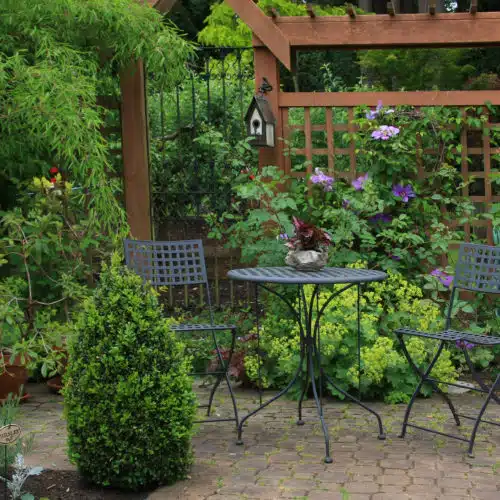 Garden dining area surrounded by plants