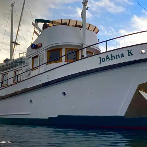 JoAhna K by Captain Jack