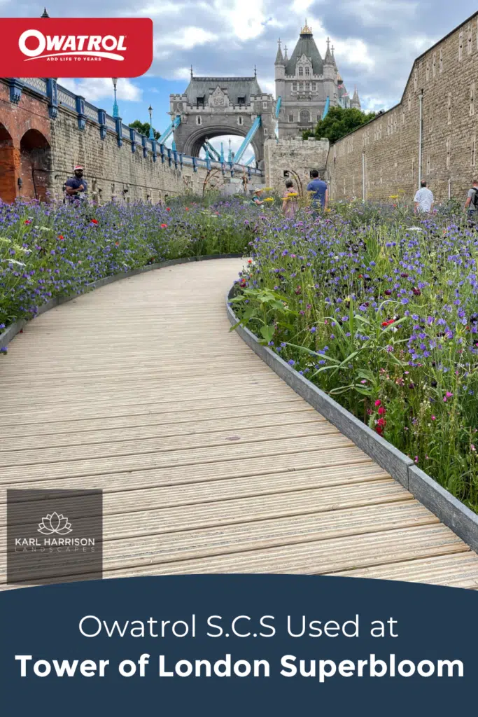 S.C.S used at tower of London Superbloom - Pinterest