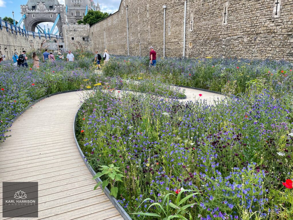 London Superbloom deck with flowers in bloom. Image credit to Karl Harrison Landscapes.