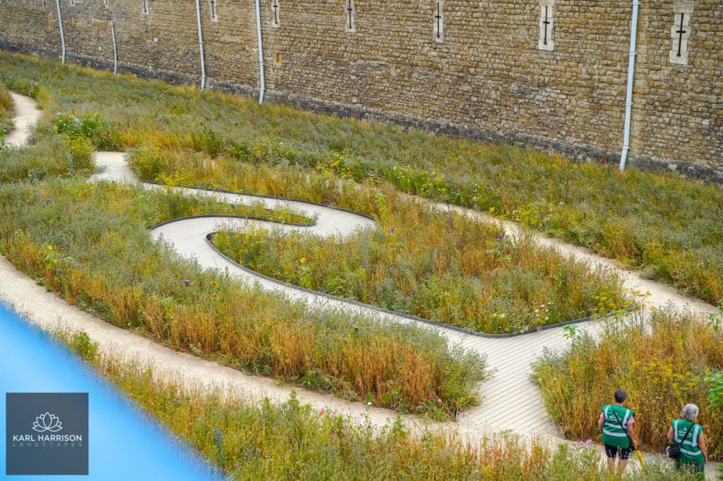 London Superbloom with wildflowers growing. Image credit to Karl Harrison Landscapes.