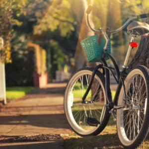 Bike resting against a tree