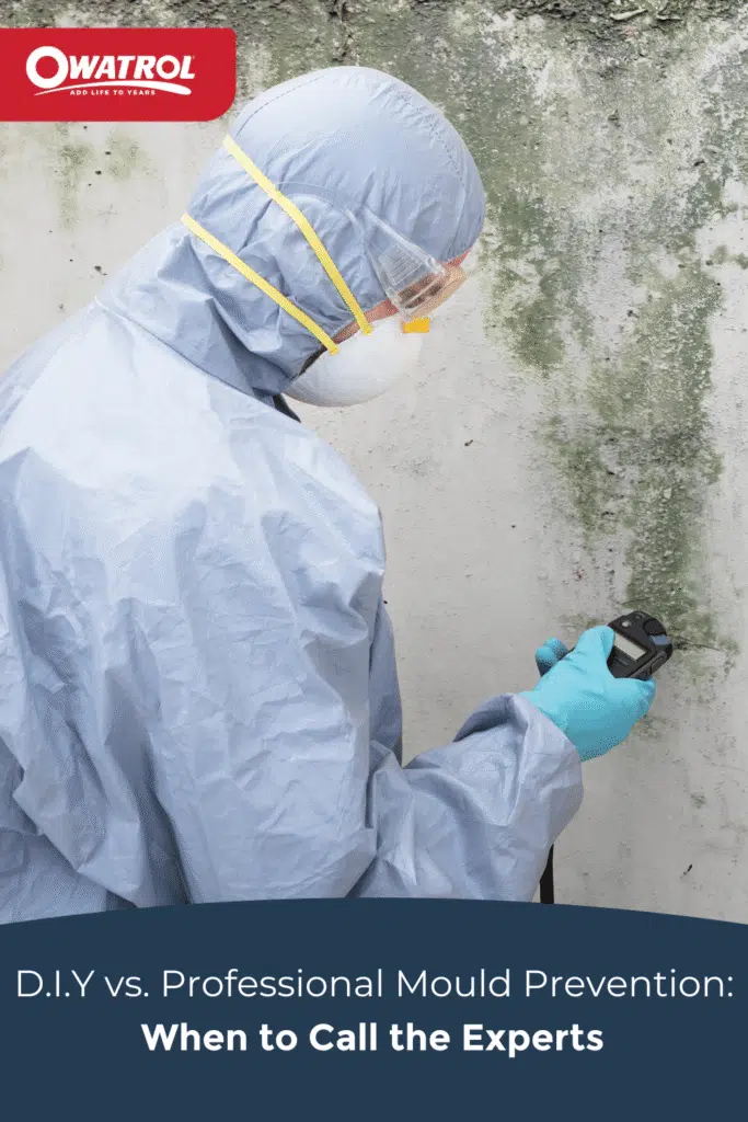 DIY vs. Professional Mould Prevention When to Call the Experts - Pinterest