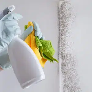 Hands with gloves and spray bottle in front of a wall with mould.