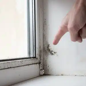 Man points at mould in the corner of the window.