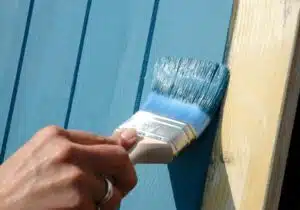 shed and fence paint application