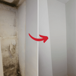 Before & after mould removal vc175
