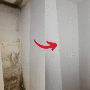 Before & after mould removal vc175