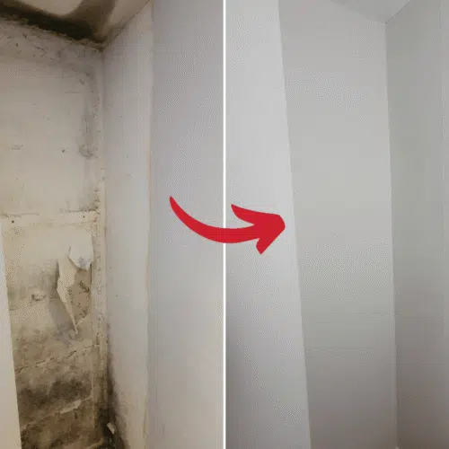 Before & after mould removal vc175