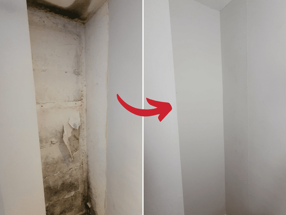 Before & after mould removal vc175