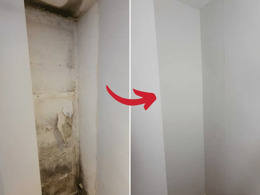 Before & after mould removal vc175