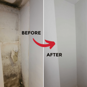 before and after mould removal vc175_